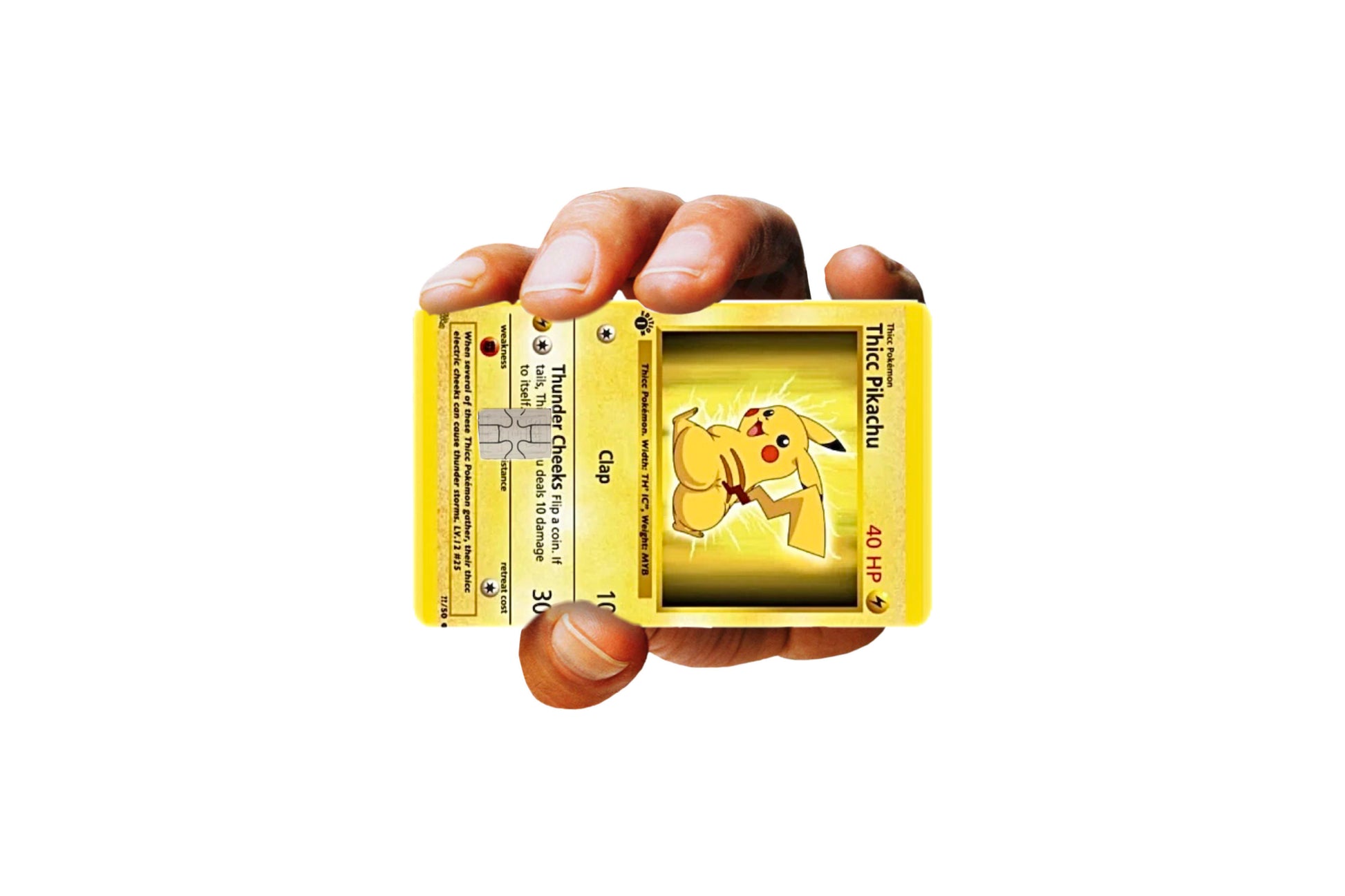 Thick Pika